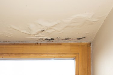 Ремонт и покраска потолка после затопления – пошаговый советчик