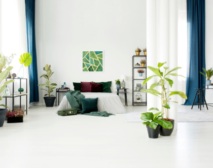 Спальня у вітальні – дізнайтесь, як забезпечити функціональність і комфорт