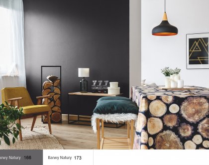 Неповторимый и неподвластный времени дизайн гостиной с использованием светлых и темных цветов 