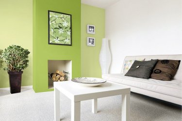 Śnieżka Barwy Natury 131, 154, БІЛИЙ