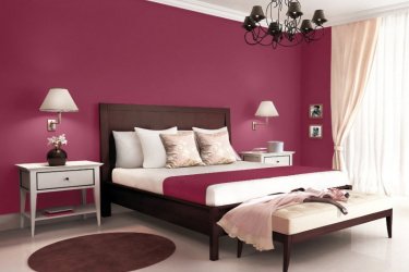 Śnieżka Barwy Natury 125