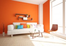orange2.jpg