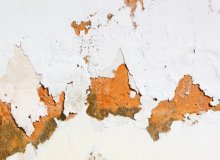 Як видалити грибок зі стін?