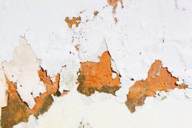 Як видалити грибок зі стін? 